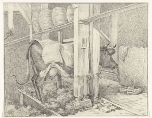 Standing Cow with a Blanket