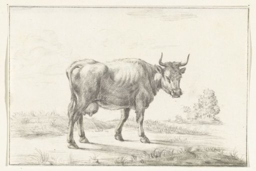 Walking cow, to the right