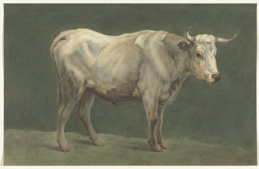 Standing bull, to the right