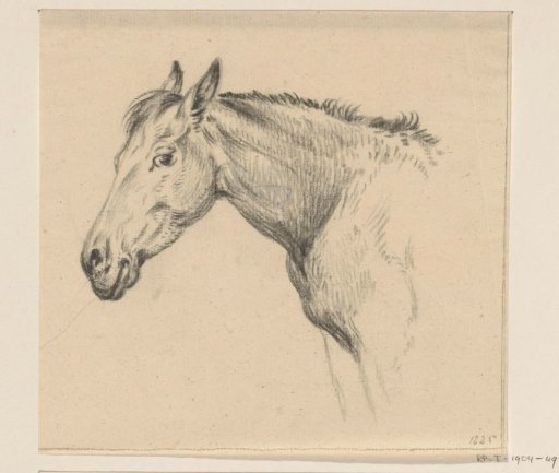 Head of a Horse, Facing Left
