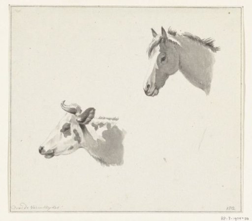 Head of a horse and the head of a cow