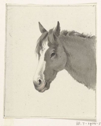 Head of a horse