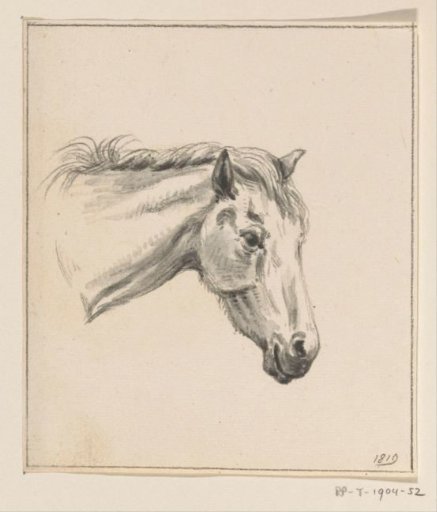 Head of a Horse, Facing Right