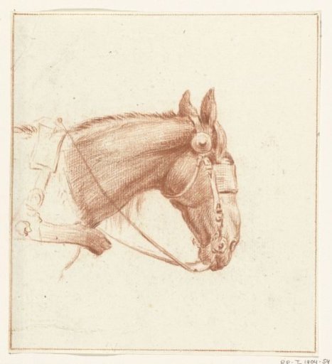Head of a Horse with Blinkers, Facing Right