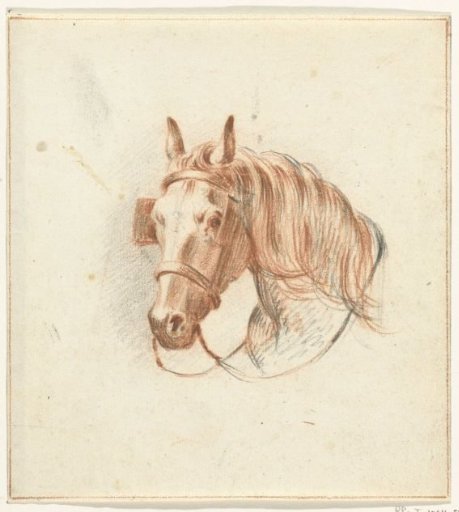 Head of a Horse with Blinkers, Front View