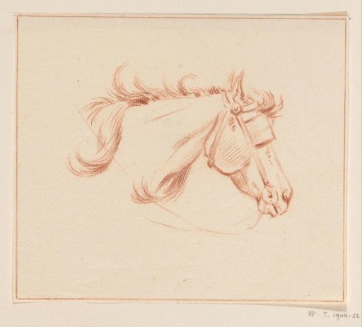 Head of a Horse with Blinkers, Facing Right