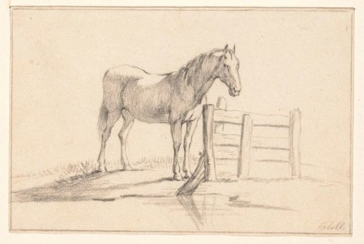 Standing horse by a fence, to the right