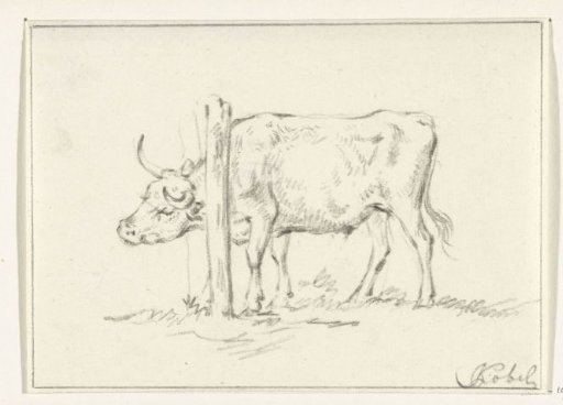 Standing Cow, with its Head between Posts