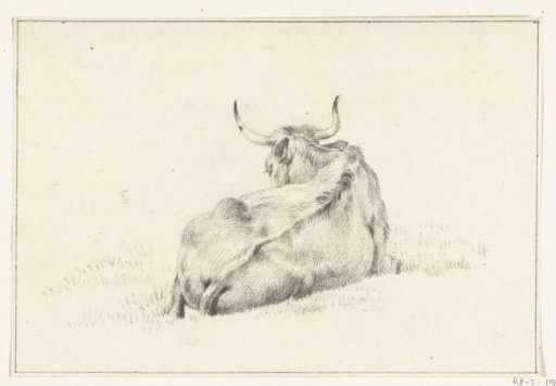 Recumbent Cow, Seen from Behind