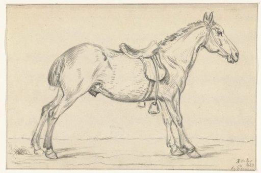 Saddled horse, facing right