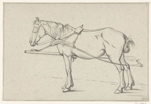 Standing harnessed horse, facing left
