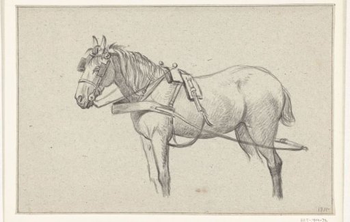 Standing harnessed horse, facing left