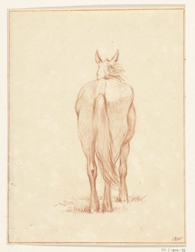 Standing horse, from the rear