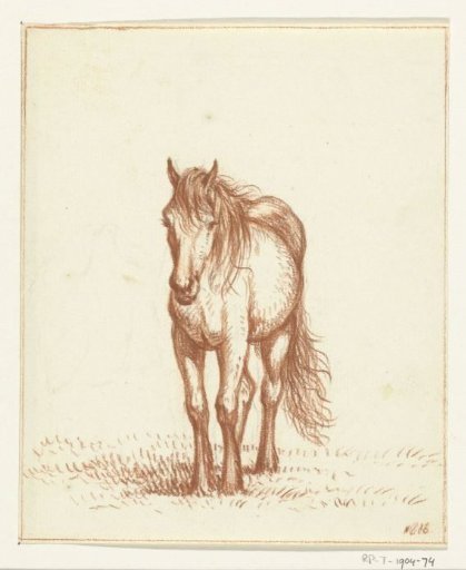 Standing horse, from the front