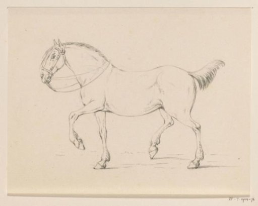 Trotting horse, to the left