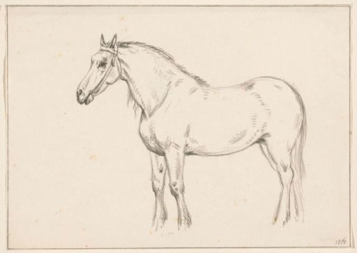 Standing horse, to the left