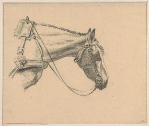 Head of a Horse with Blinkers On, Facing Right