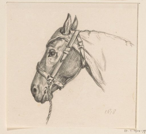 Head of a Horse with a Hood On, Facing Left