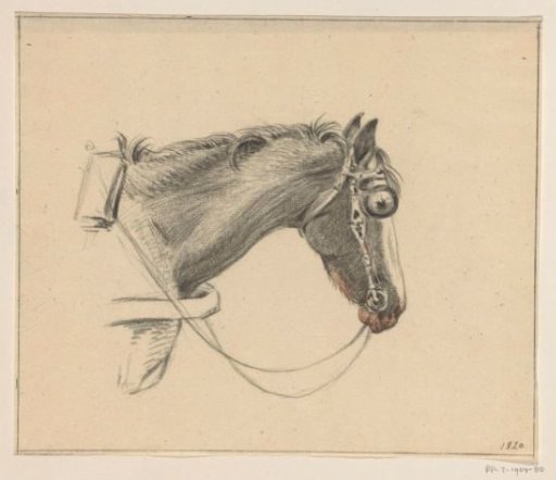 Head of a horse, facing right