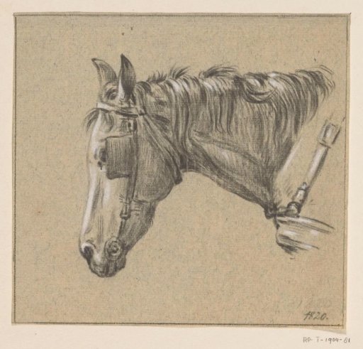 Head of a Horse with Blinkers On, Facing Left