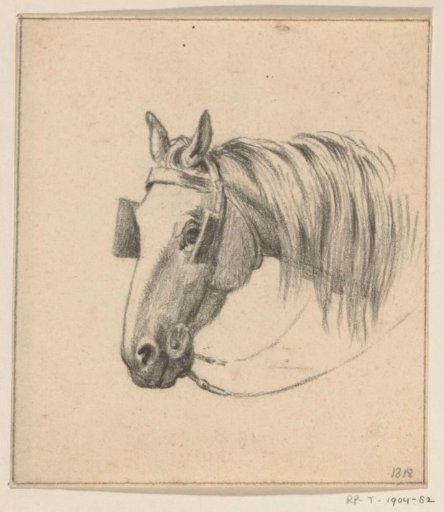 Head of a Horse with Blinkers On, Facing Left