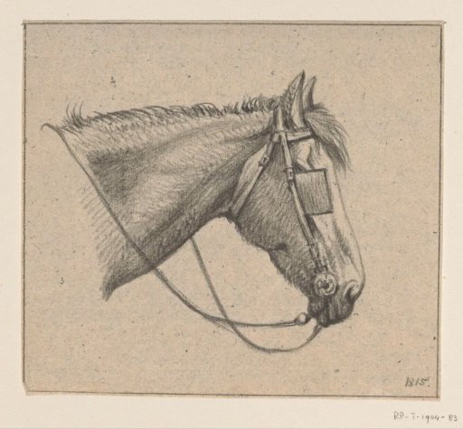 Head of a Horse with Blinkers, Facing Right