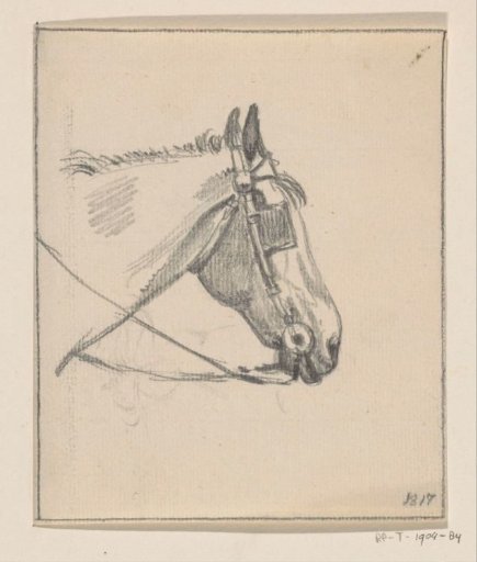 Head of a horse with blinkers, to the right