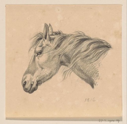 Head of a horse, facing left