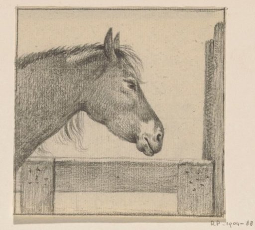 Head of a Horse at a Fence, Facing Right