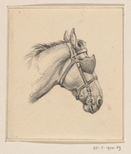 Head of a Horse with Blinkers, Facing Right