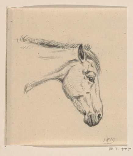 Head of a Horse, Facing Right