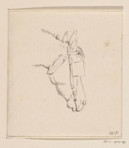 Head of a Horse with Blinkers, Facing Right