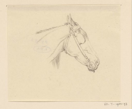 Head of a horse, facing right