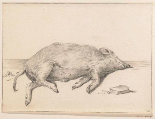Lying Pig, facing right