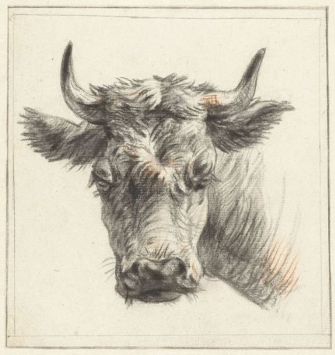Head of an Ox