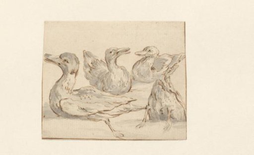 Four ducks in the water
