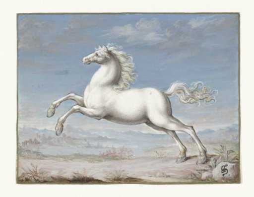 White Horse