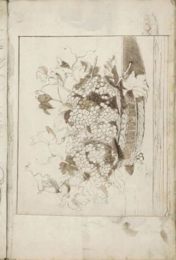 Still Life with Grapes in a Wicker Basket