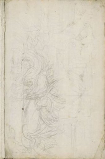 Studies, Possibly Dead Game or Poultry