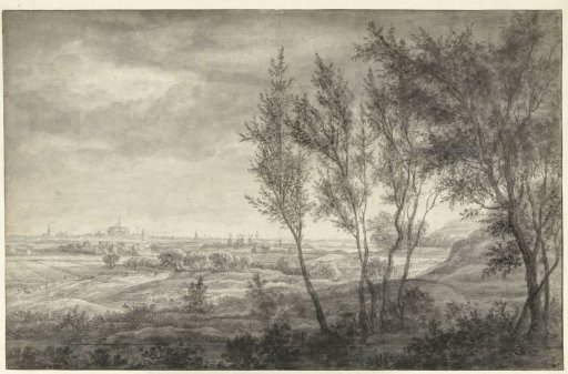 View from the dunes of Haarlem