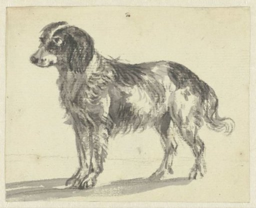 Standing dog