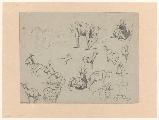 Sketch sheet with studies of goats and two cows