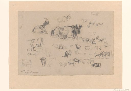 Sketch sheet with studies of cows and two goats