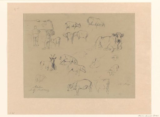 Sketch sheet with studies of cows, pigs, goats and a couple of peasants