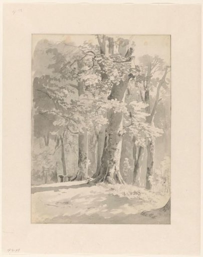 Wooded landscape