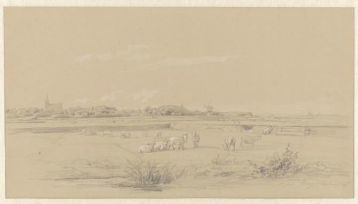 View over meadows with sheep at Den Burg, Texel