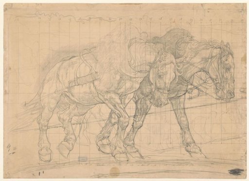 Two horses being drawn