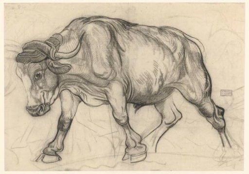 Ox