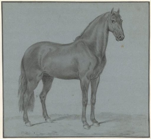 The horse of Monsieur de Guille