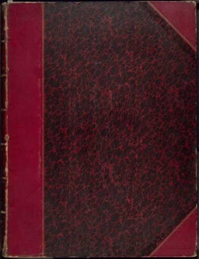 The Gordon African Collection: Birds